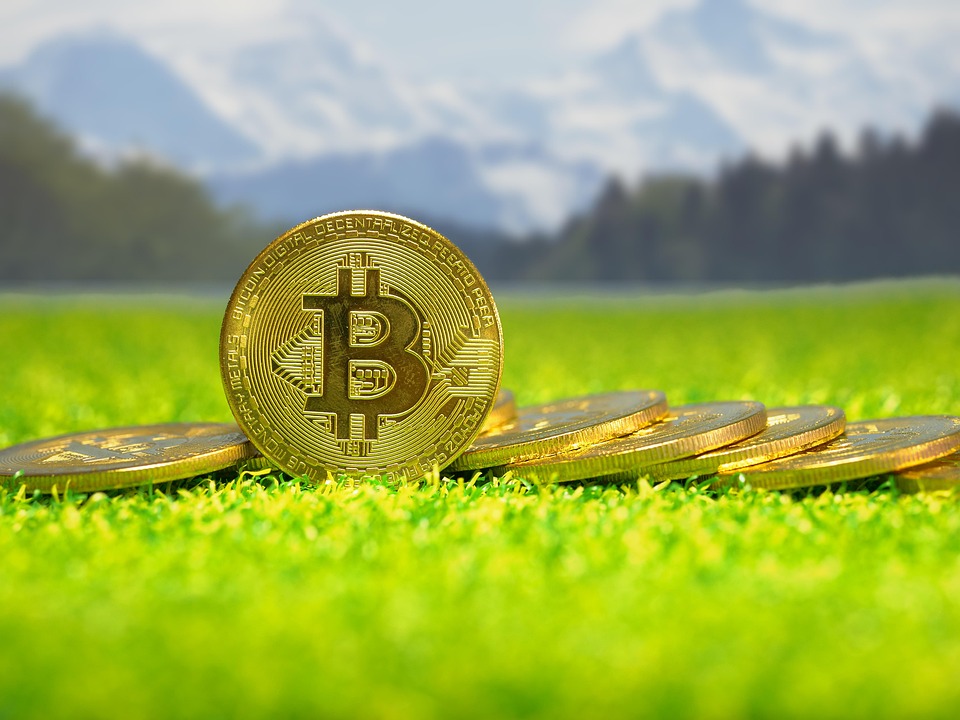 Bitcoin’s Harbinger: How Other Currencies Are Learning from Bitcoin’s Success